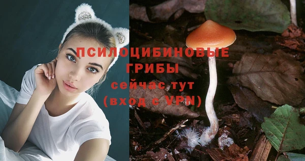 MDMA Армянск