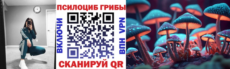 Псилоцибиновые грибы мицелий Моздок